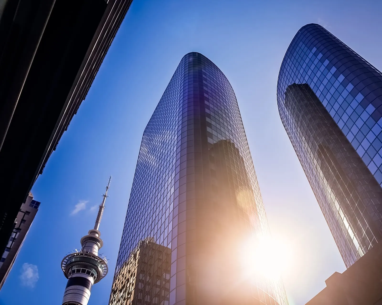 The Sky Tower beside glass office towers in central Auckland
